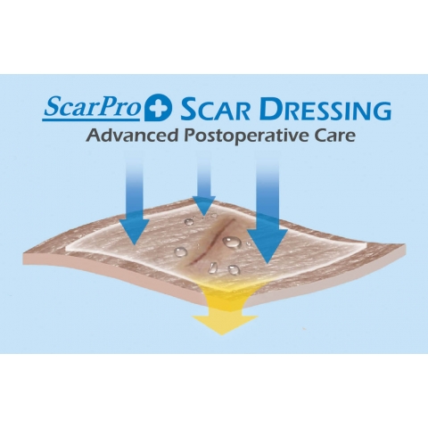 Scar Dressing